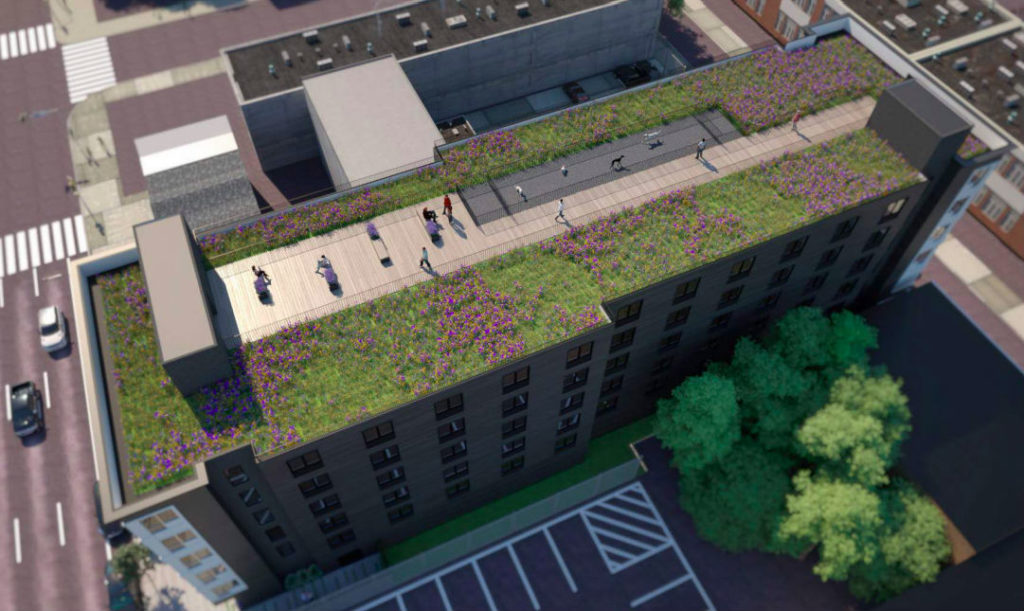 4125chestnut-green-roof-rendering